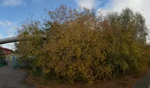 Фотография АЮТехно 1