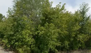 Фотография АЮТехно 2